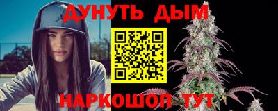 индика Рузаевка