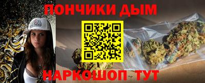 индика Рузаевка