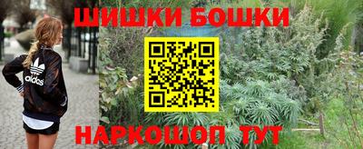 индика Рузаевка