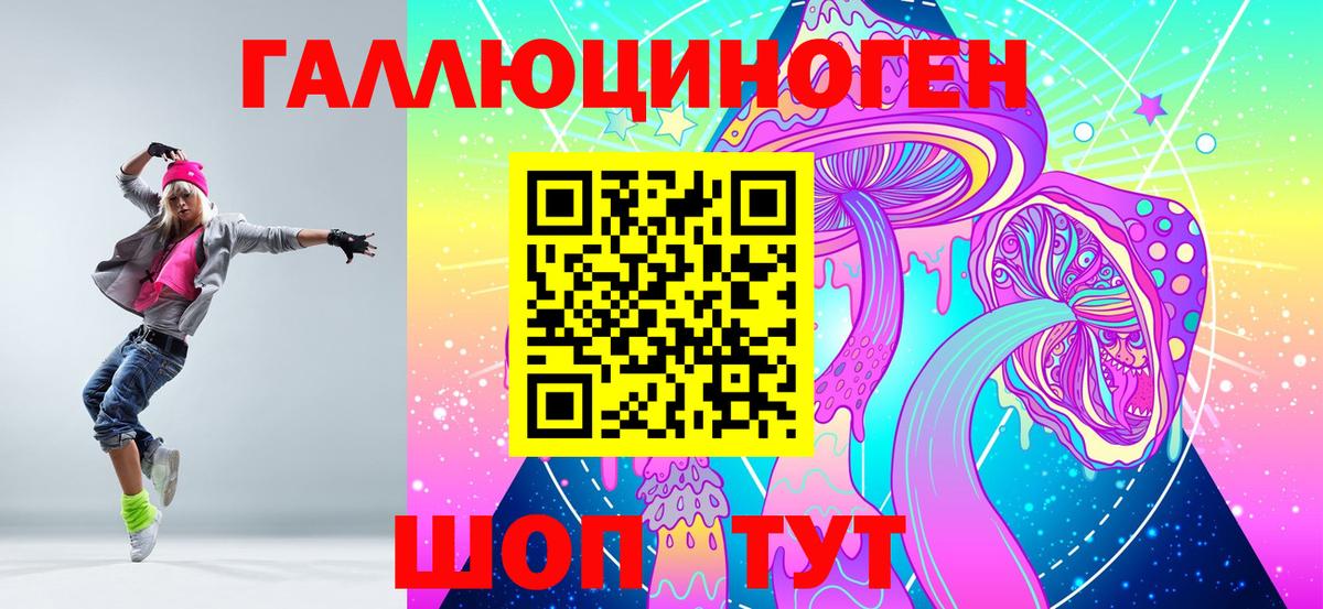 Галлюциногенные грибы Psilocybine cubensis Сочи