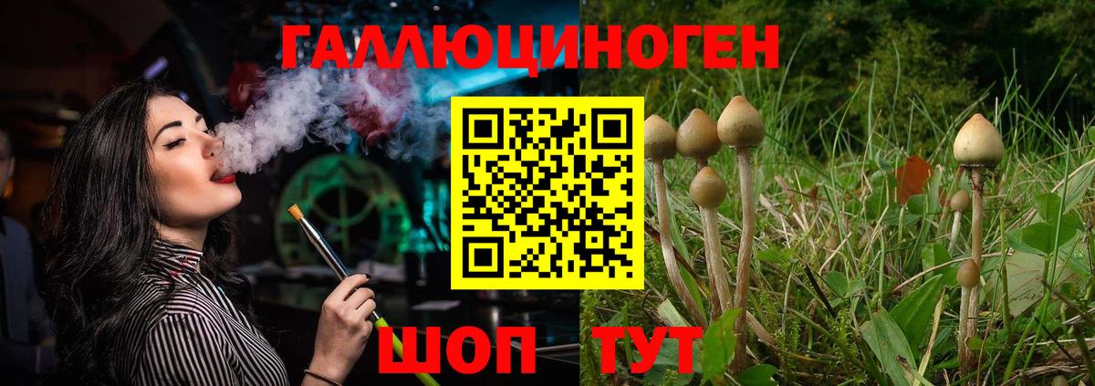 ГАШИШ Сочи
